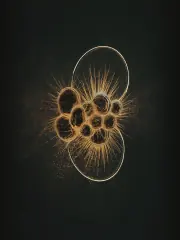 A cellular field with antioxidant light neutralizing free-radical sparks