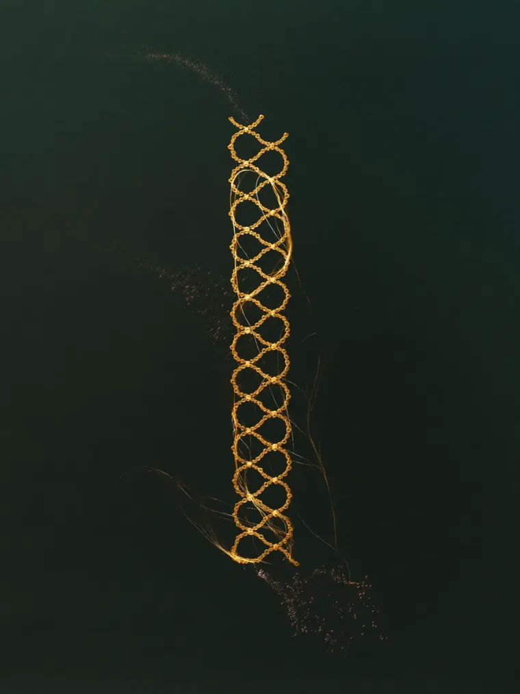 Strongest evidence pillar
